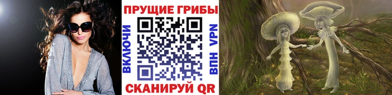 Псилоцибиновые грибы Psilocybe  Наволоки 